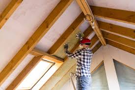 Best Attic Insulation Installation  in The Galena Territory, IL